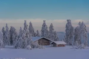 powietrze w domu zimą